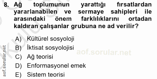 8. soru: Ağ toplumunun yarattığı fırsatlardan yararlanabilen ve sermaye sahipleri ile arasındaki önem farklilıklarını ortadan…