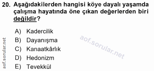 20. soru: Aşağıdakilerden hangisi köye dayalı yaşamda çalışma hayatında öne çıkan değerlerden biri değildir? A) Kadercilik B) D…