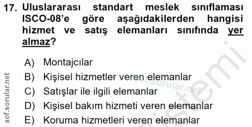 17. soru: Uluslararası standart meslek siniflaması ISCO-08'e göre aşağıdakilerden hangisi hizmet ve satış elemanları sınıfında…