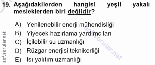 19. soru: Aşağıdakilerden hangisi yeşil yakalı mesleklerden biri değildir? A) Yenilenebilir enerji mühendisliği B) Yiyecek hazı…