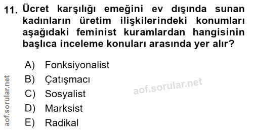 11. soru: Ücret karşılığı emeğini ev dışında sunan kadınların üretim ilişkilerindeki konumları aşağıdaki feminist kuramlardan h…