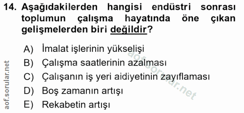 14. soru: Aşağıdakilerden hangisi endüstri sonrası toplumun çalışma hayatında öne çıkan gelişmelerden biri değildir? A) İmalat…
