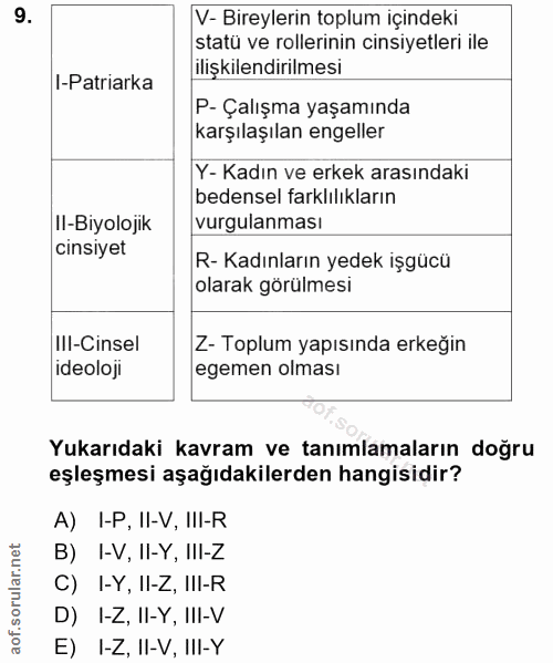 9. soru: V- Bireylerin toplum içindeki statü ve rollerinin cinsiyetleri ile ilişkilendirilmesi I-Patriarka P- Çalışma yaşamınd…