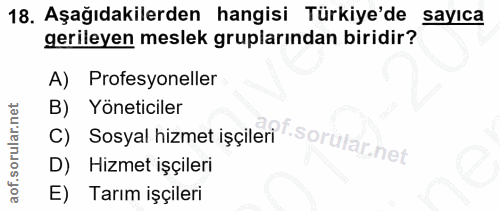 18. soru: Aşağıdakilerden hangisi Türkiye'de sayıca gerileyen meslek gruplarından biridir? A) Profesyoneller B) Yöneticiler C)…