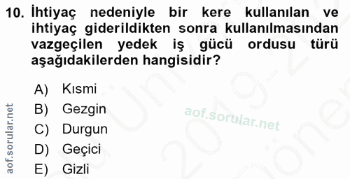 10. soru: İhtiyaç nedeniyle bir kere kullanılan ve ihtiyaç giderildikten sonra kullanılmasından vazgeçilen yedek is gücü ordusu…