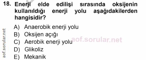 18. soru: Enerji elde edilişi sırasında oksijenin kullanıldığı enerji yolu aşağıdakilerden hangisidir? A) Anaerobik enerji yolu…