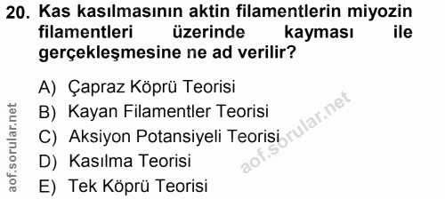 20. soru: Kas kasılmasının aktin filamentlerin miyozin filamentleri üzerinde kayması ile gerçekleşmesine ne ad verilir? A) Çapr…
