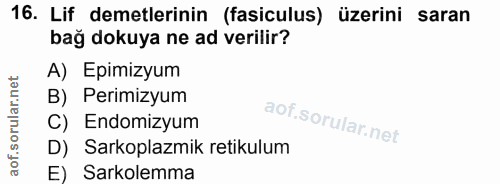 16. soru: Lif demetlerinin (fasiculus) üzerini saran bağ dokuya ne ad verilir? A) Epimizyum B) Perimizyum C) Endomizyum D) Sark…