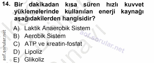 14. soru: Bir dakikadan kısa süren hızlı kuvvet yüklemelerinde kullanılan enerji kaynağı aşağıdakilerden hangisidir? A)- Laktik…