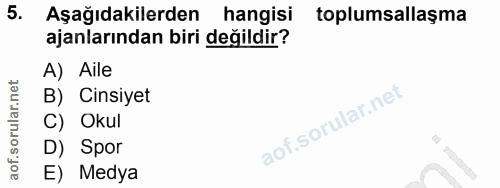 5. soru: Aşağıdakilerden hangisi toplumsallaşma ajanlarından biri değildir? A) Aile B) Cinsiyet C) Okul D) Spor E) Medya