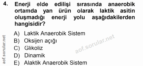 4. soru: Enerji elde edilişi sırasında anaerobik ortamda yan ürün olarak laktik asitin oluşmadığı enerji yolu aşağıdakilerden…