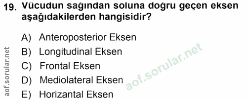 19. soru: Vücudun sağından soluna doğru geçen eksen aşağıdakilerden hangisidir? A) Anteroposterior Eksen B) Longitudinal Eksen…