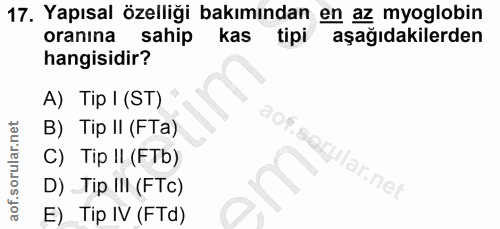 17. soru: Yapısal özelliği bakımından en az myoglobin oranına sahipl kas tipi aşağıdakilerden hangisidir? A) Tip I (ST) B) Tip…