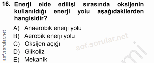 16. soru: Enerji elde edilişi sırasında oksijenin kullanıldığı enerji yolu aşağıdakilerden hangisidir? A) Anaerobik enerji yolu…
