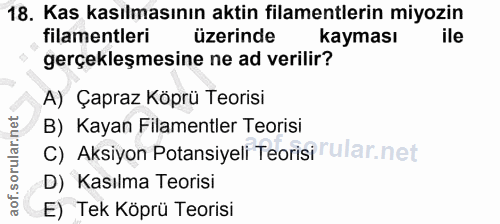 18. soru: Kas kasılmasının aktin filamentlerin miyozin filamentleri üzerinde kayması ile gerçekleşmesine ne ad verilir? A) Çapr…