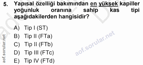 5. soru: Yapısal özelliği bakımından en yüksek kapiller yoğunluk oranina sahip kas aşağıdakilerden hangisidir? A) Tip I (ST) B…