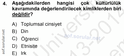 4. soru: Aşağıdakilerden hangisi çok kültürlülük kavramında değerlendirilecek kimliklerden biri değildir? A) Toplumsal cinsiye…