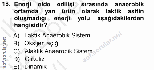 18. soru: Enerji elde ediliși sırasında anaerobik ortamda yan ürün olarak laktik asitin oluşmadığı enerji yolu aşağıdakilerden…