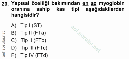 20. soru: Yapısal özelliği bakımından en az myoglobin oranına sahip aşağıdakilerden hangisidir? A) Tip I (ST) B) Tip II (FTa) C…
