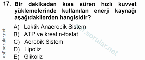 17. soru: Bir dakikadan kısa süren hızlı kuvvet yüklemelerinde kullanılan enerji kaynağı aşağıdakilerden hangisidir? A) Laktik…