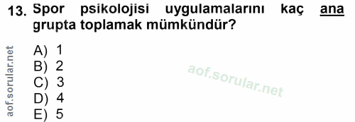13. soru: Spor psikolojisi uygulamalarını kaç ana grupta toplamak mümkündür?
