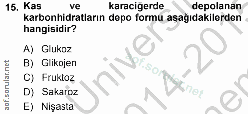 15. soru: Kas ve karaciğerde depolanan karbonhidratların depo formu aşağıdakilerden hangisidir? A) Glukoz B) Glikojen C) Frukto…