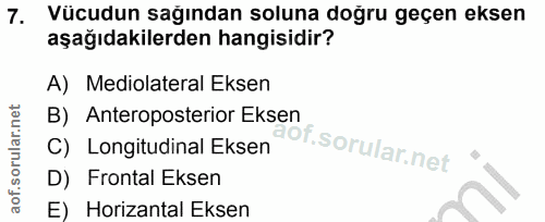 7. soru: Vücudun sağından soluna doğru geçen eksen aşağıdakilerden hangisidir? A) Mediolateral Eksen B) Anteroposterior Eksen…