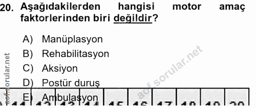 20. soru: Aşağıdakilerden hangisi motor amaç faktorlerinden biri değildir? A) Manüplasyon orular.net B) Rehabilitasyon ular.net…