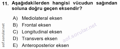 11. soru: Aşağıdakilerden hangisi vücudun sağından soluna doğru geçen eksendir? A) Mediolateral eksen B) Frontal eksen C) Longi…