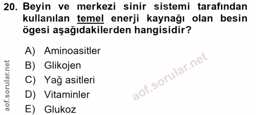 20. soru: Beyin ve merkezi sinir sistemi tarafından kullanılan temel enerji kaynağı olan besin ögesi aşağıdakilerden hangisidir…