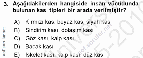 3. soru: Aşağıdakilerden hangiside insan vücüdunda bulunan kas tipleri bir arada verilmiştir? A) Kırmızı kas, beyaz kas, siyah…