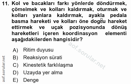 11. soru: Kol ve bacakları farkı yönlerde döndürmek, çömelmek ve kolları kaldırmak, oturmak ve kolları yanlara kaldırmak, ayakl…