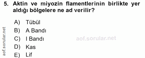 5. soru: Aktin ve miyozin flamentlerinin birlikte yer aldığı bölgelere ne ad verilir? A) Tubül B) A Bandı C) I Bandı D) Kas E)…