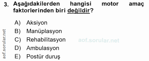 3. soru: Aşağıdakilerden hangisi motor amaç faktorlerinden biri değildir? A) Aksiyon rular.net B) Manüplasyon C) Rehabilitasyo…
