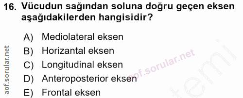 16. soru: Vücudun sağından soluna doğru geçen eksen aşağıdakilerden hangisidir? A) Mediolateral eksen B) Horizantal eksen D) An…