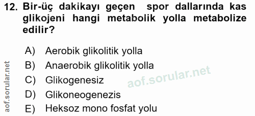 12. soru: Bir-üç dakikayı geçen spor dallarında kas glikojeni hangi metabolik yolla metabolize edilir? A) Aerobik glikolitik yo…