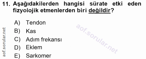 11. soru: Aşağıdakilerden hangisi sürate etki eden fizyolojik etmenlerden biri değildir? A) Tendon B) Kas C) Adım frekansı D) E…