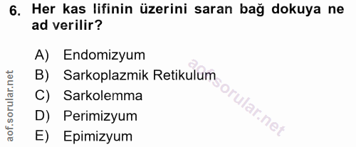 6. soru: Her kas lifinin üzerini saran bağ dokuya ne ad verilir? A) Endomizyum B) Sarkoplazmik Retikulum C) Sarkolemma D) Peri…