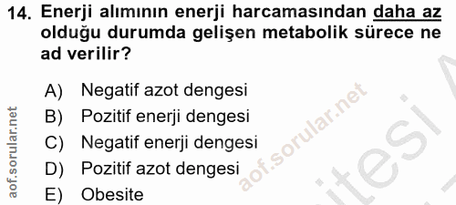 14. soru: Enerji alımının enerji harcamasından daha az olduğu durumda gelişen metabolik sürece ne ad verilir? A) Negatif azot d…