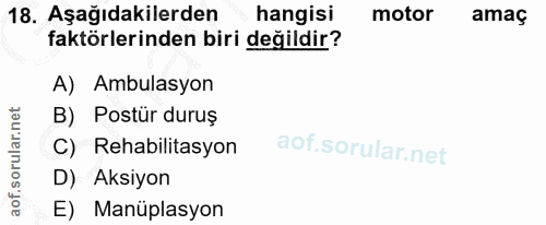 18. soru: Aşağıdakilerden hangisi motor amaç faktörlerinden biri değildir? A) Ambulasyon B) Postür duruş C) Rehabilitasyon D) A…