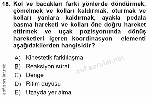 18. soru: Kol ve bacakları farkı yönlerde döndürmek, çömelmek ve kolları kaldırmak, oturmak ve kolları yanlara kaldırmak, ayakl…