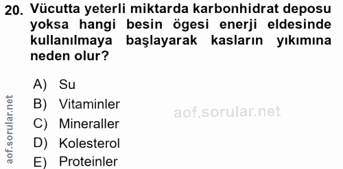 20. soru: Vücutta yeterli miktarda karbonhidrat deposu yoksa hangi besin ögesi enerji eldesinde kullanılmaya başlayarak kasları…
