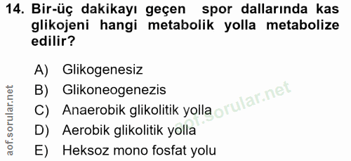 14. soru: Bir-üç dakikayı geçen spor dallarında kas glikojeni hangi metabolik yolla metabolize edilir? A) Glikogenesiz C) Anaer…