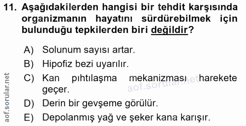 11. soru: Aşağıdakilerden hangisi bir tehdit karşısında organizmanın hayatını sürdürebilmek için bulunduğu tepkilerden biri değ…