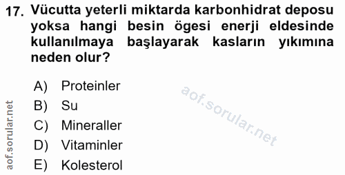 17. soru: Vücutta yeterli miktarda karbonhidrat deposu yoksa hangi besin ögesi enerji eldesinde kullanılmaya başlayarak kasları…