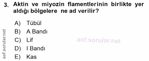 3. soru: Aktin ve miyozin flamentlerinin birlikte yer aldığı bölgelere ne ad verilir? A) Tübül corillar nel B) A Bandı C) Lif…