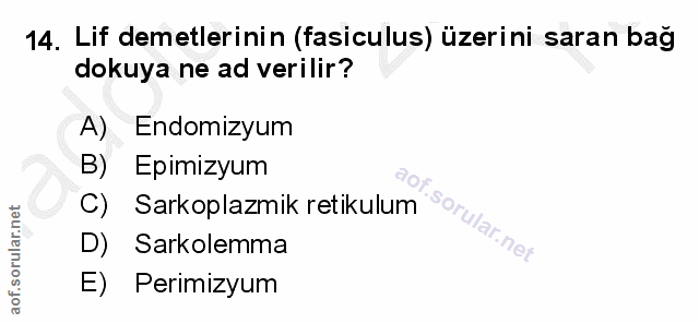 14. soru: Lif demetlerinin (fasiculus) üzerini saran bag dokuya ne ad verilir? A) Endomizyum B) Epimizyum C) Sarkoplazmik retik…