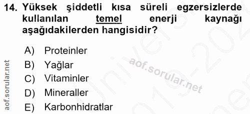 14. soru: Yüksek şiddetli kısa süreli egzersizlerde kullanılan temel enerji kaynağı aşağıdakilerden hangisidir? A) Proteinler B…