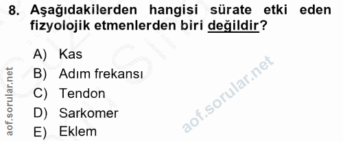 8. soru: Aşağıdakilerden hangisi sürate etki eden fizyolojik etmenlerden biri değildir? A) Kas B) Adım frekansı C) Tendon D) S…