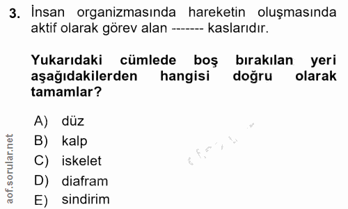 3. soru: İnsan organizmasında hareketin oluşmasında aktif olarak görev alan ------ kaslarıdır. Yukarıdaki cümlede boş bırakıla…